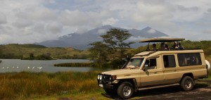 Safari im Arusha Nationalpark, Mount Meru im Hintergrund.