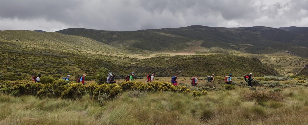 Trekking group on Mount Kenya, SummitClimb Felix Berg - Mount Kenya 2017 New Year 2018
