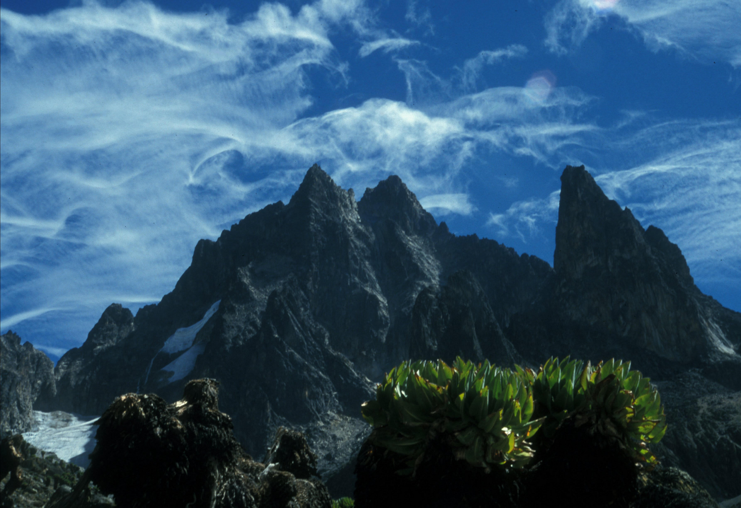 Mount Kenya, clouds and plants