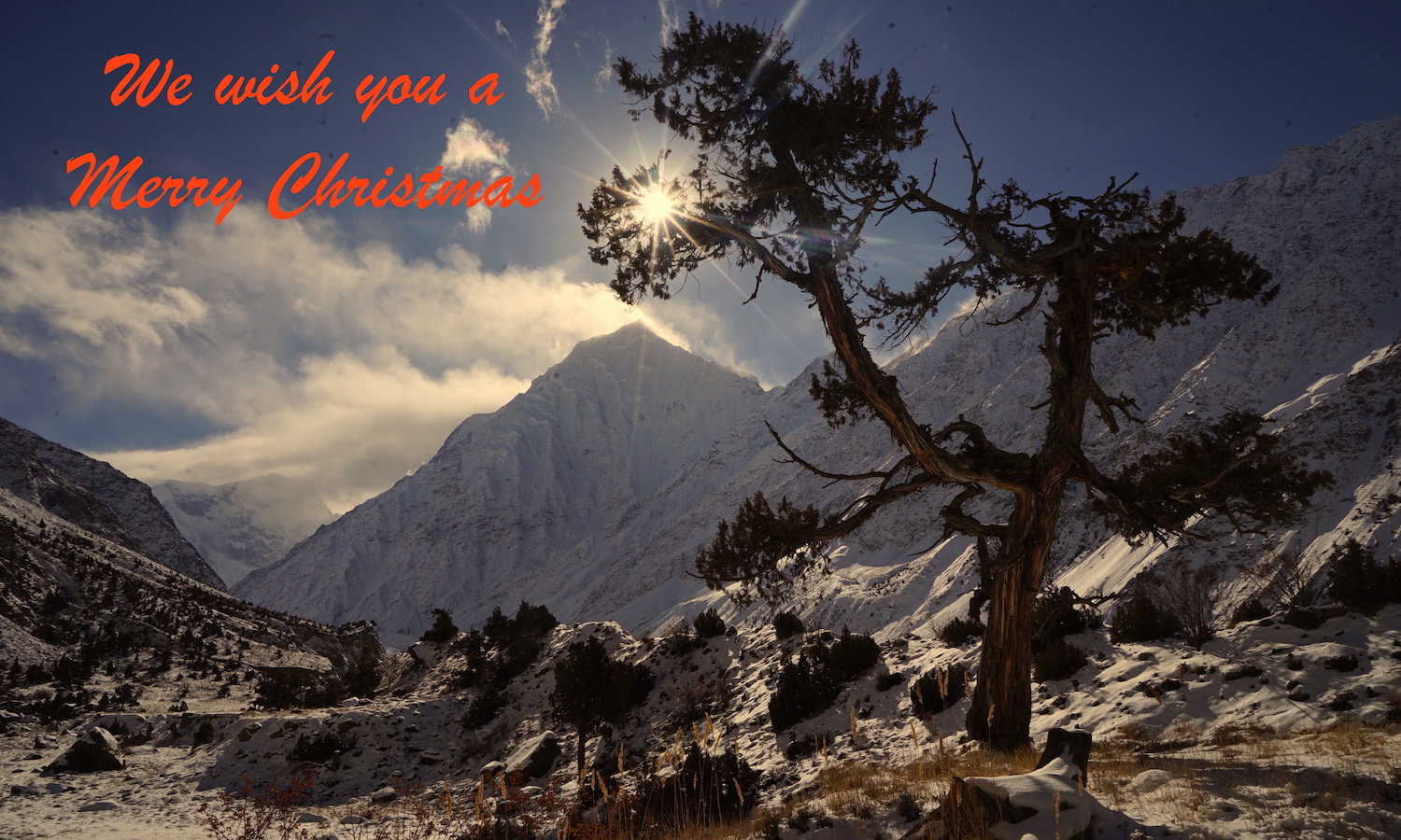 Xmas Card, Sun, Tree, Mountains