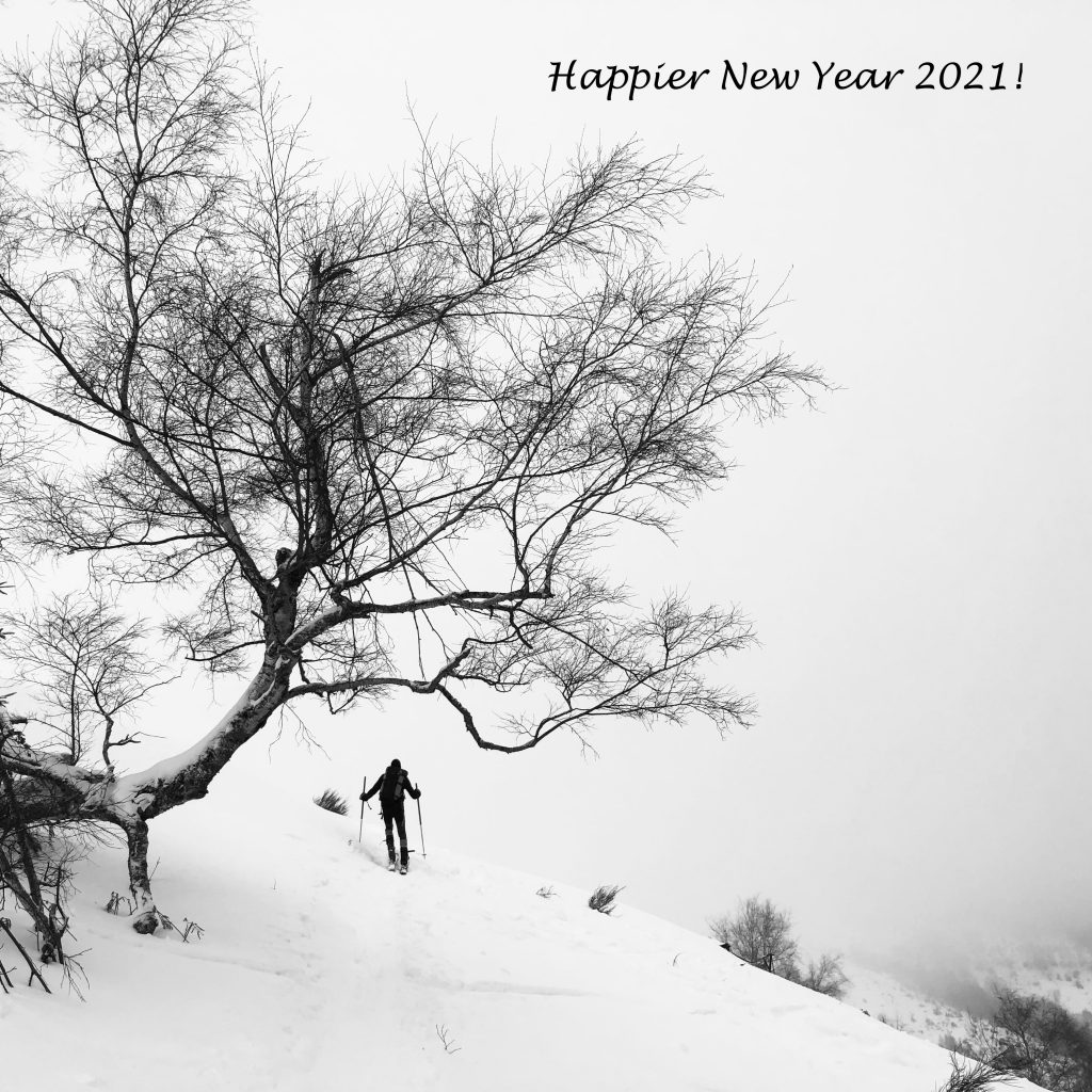 Happier New Year 2021