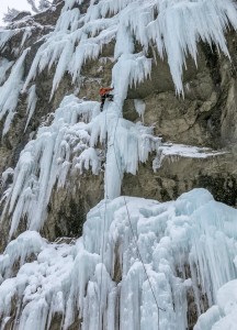 Oeschiwald Haizähne 2015-Feb
