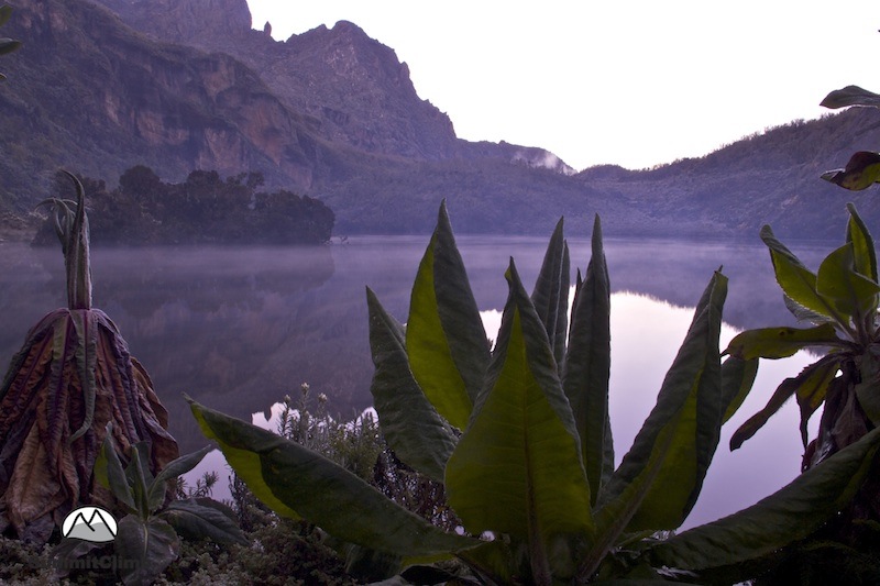Ruwenzori - Lake Kitandara