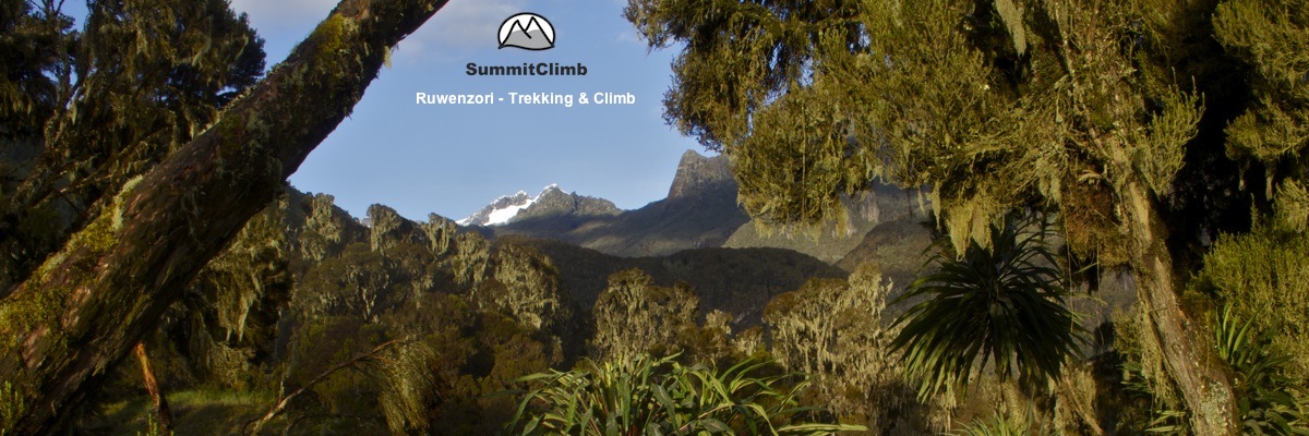 Ruwenzori-Mondberge