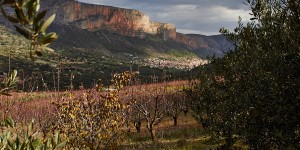 Leonidio-Festival-Neujahr-2016 2