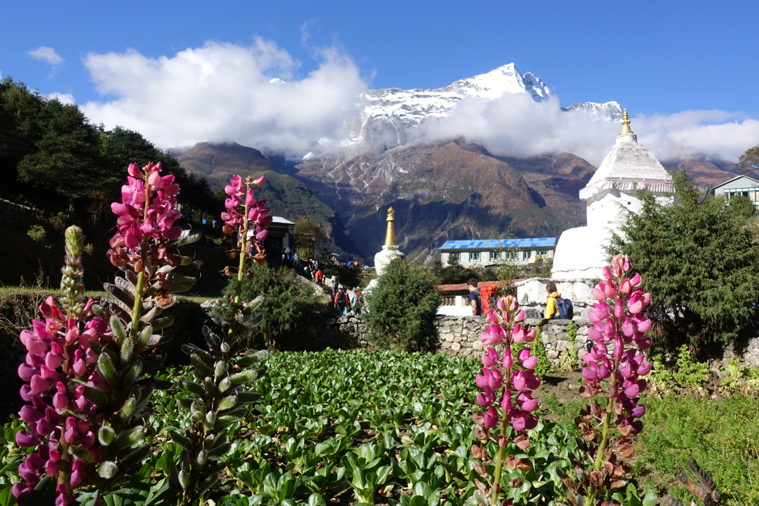 Nepal-Leaving-Namche 