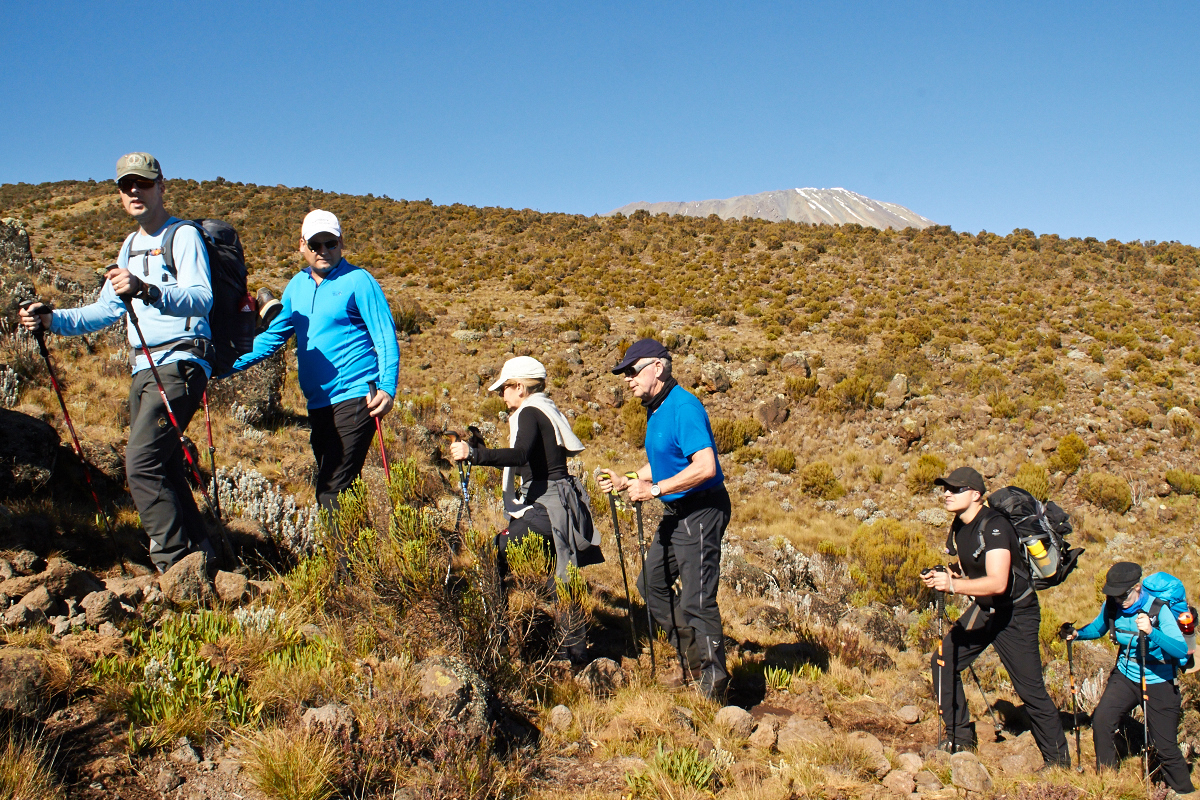Kilimanjaro-2016-FelixBerg: Aufstieg (Kilimandscharo Trekking)              