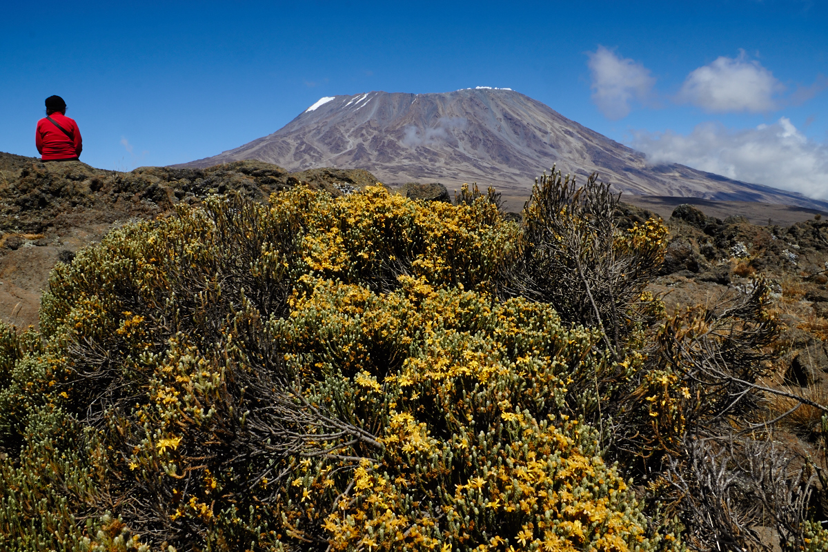 Kilimanjaro-Trekking