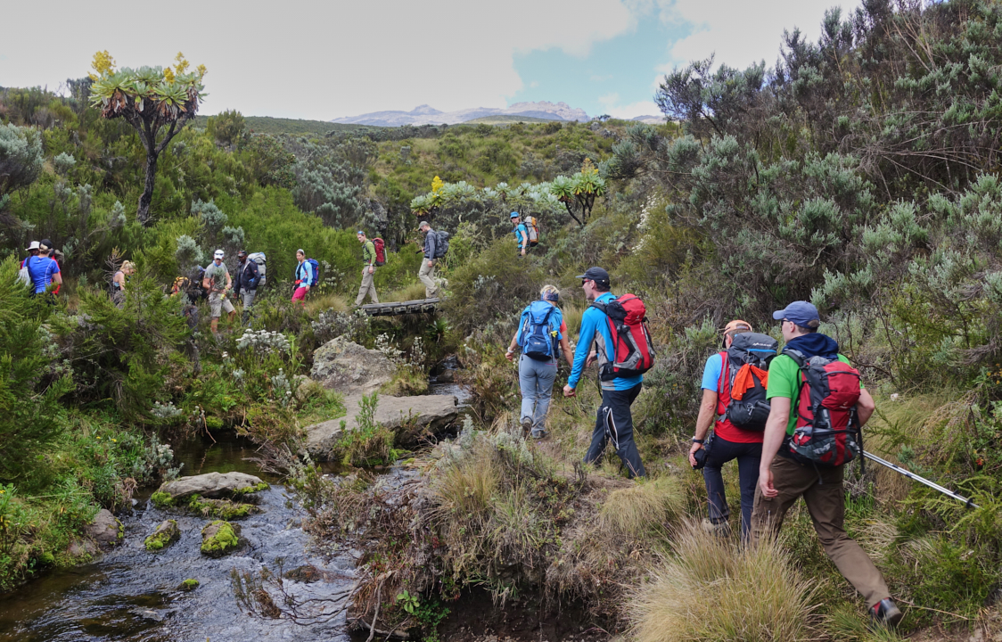 Mount-Kenya Trekking