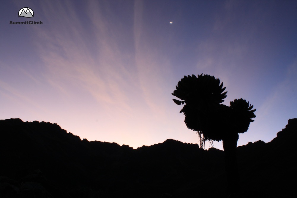 Kenia_2015_Guten_Morgen_Szenezia