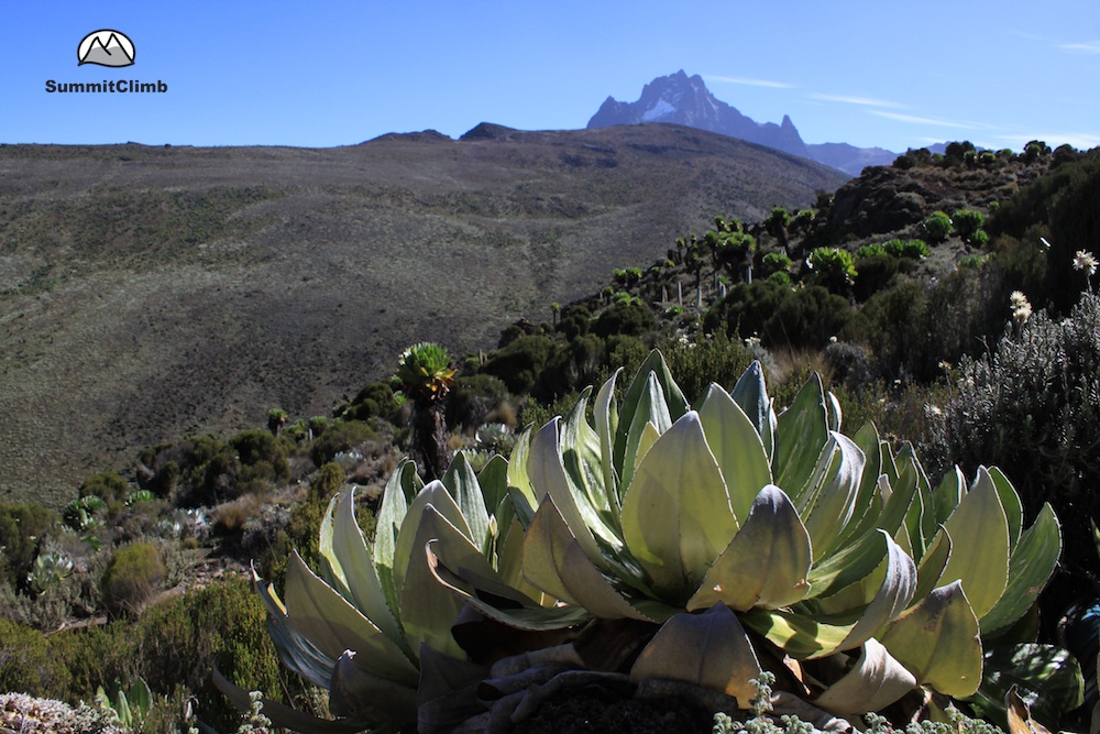 Kenia_2015_Mount_Kenia